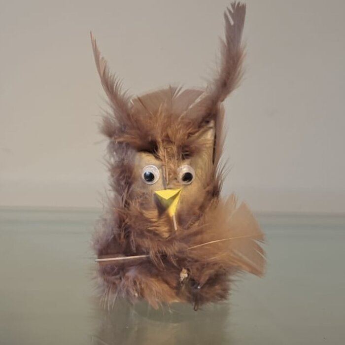 Schräger gefiederter Eulenvogel mit wilden Federohren